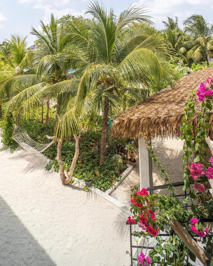 Rasdhoo Dive Lodge Ngoại thất bức ảnh
