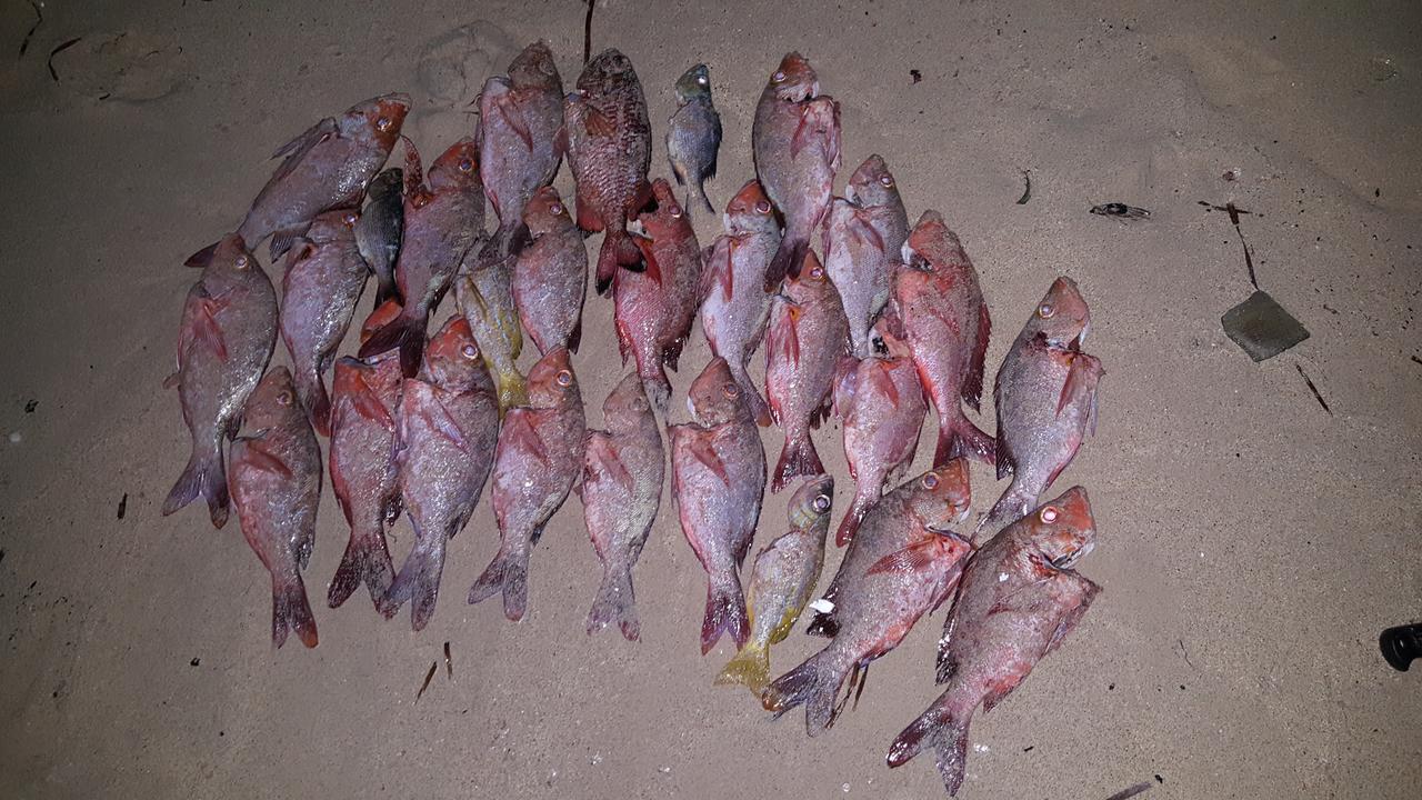 Rasdhoo Dive Lodge Ngoại thất bức ảnh