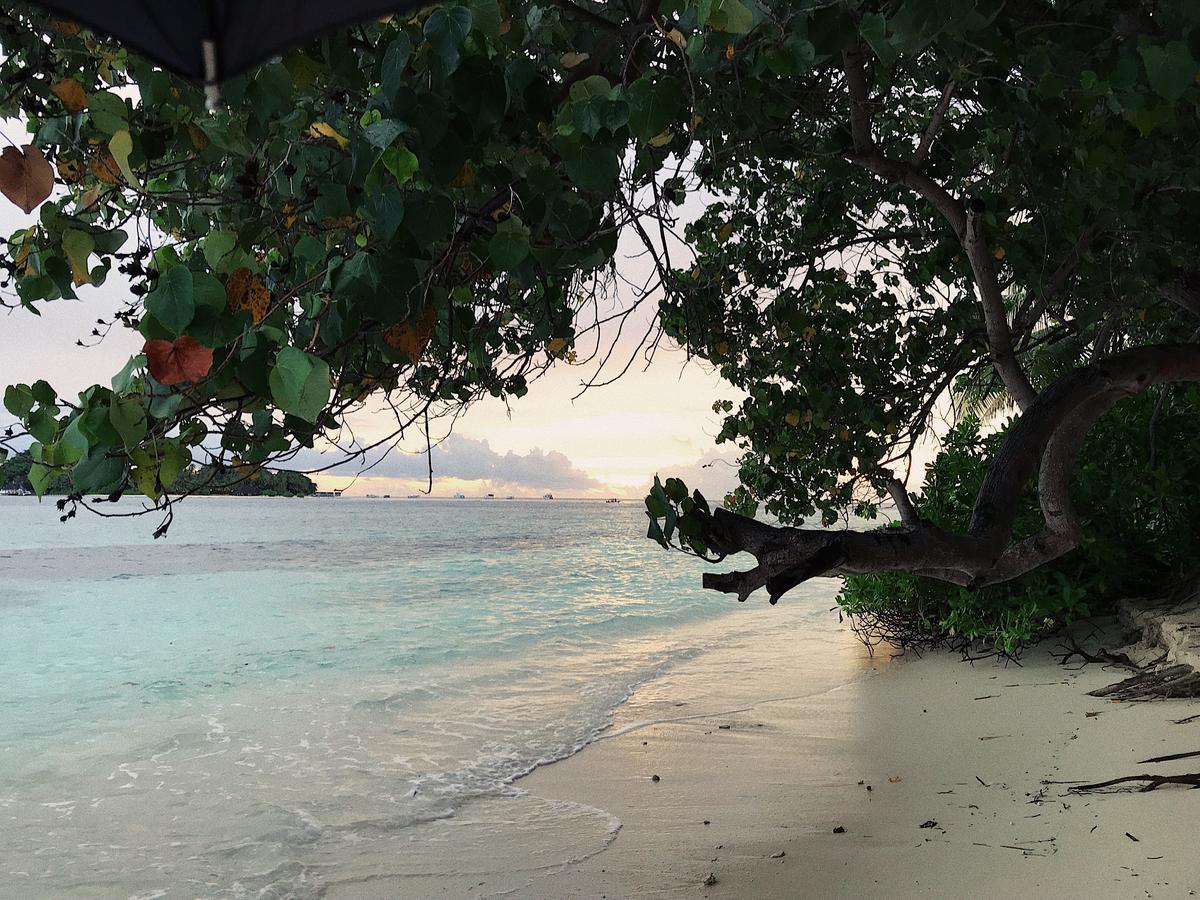 Rasdhoo Dive Lodge Ngoại thất bức ảnh