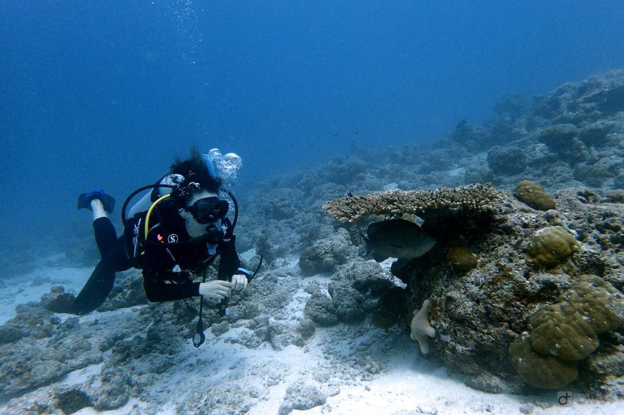 Rasdhoo Dive Lodge Ngoại thất bức ảnh